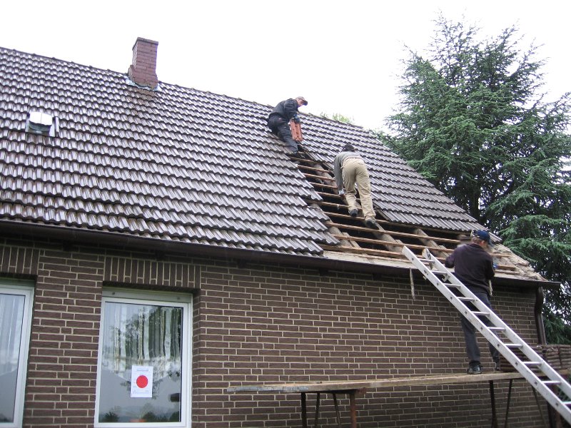 Dachstuhl - Sanierung / Renovierung